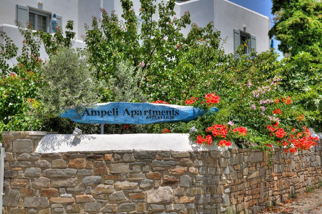 Ampeli Apartments パロス島 エクステリア 写真